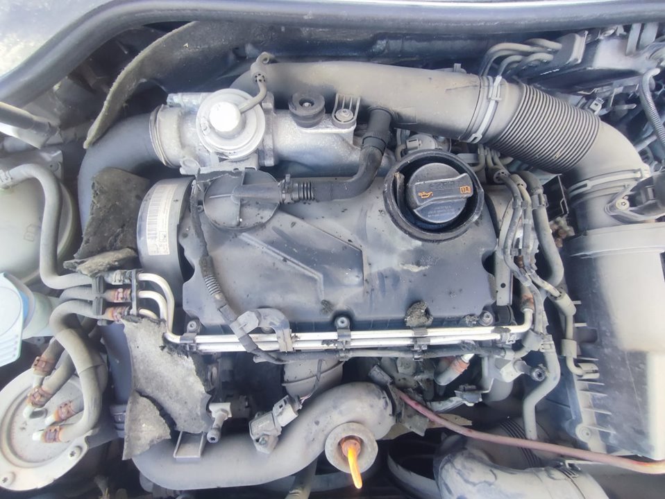 Motor completo volkswagen golf v   berlina (1k1) highline 4moti