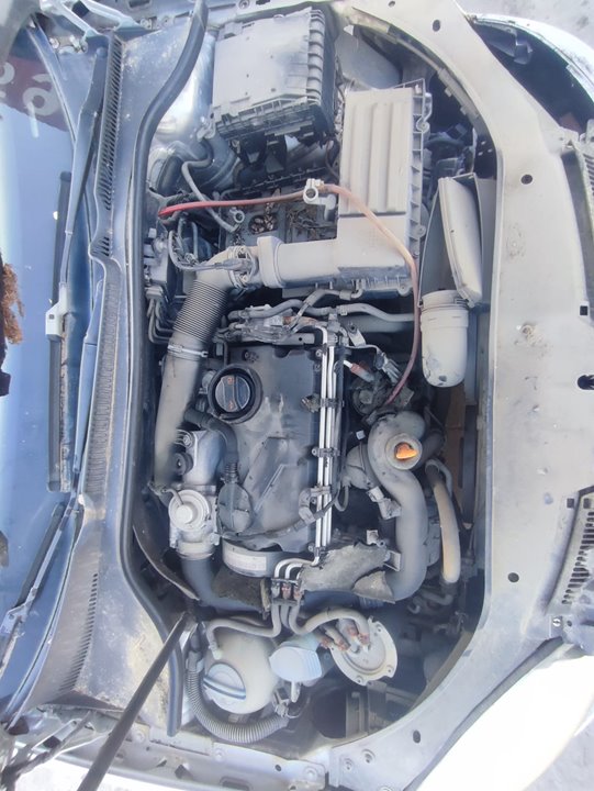 Motor completo volkswagen golf v   berlina (1k1) highline 4moti