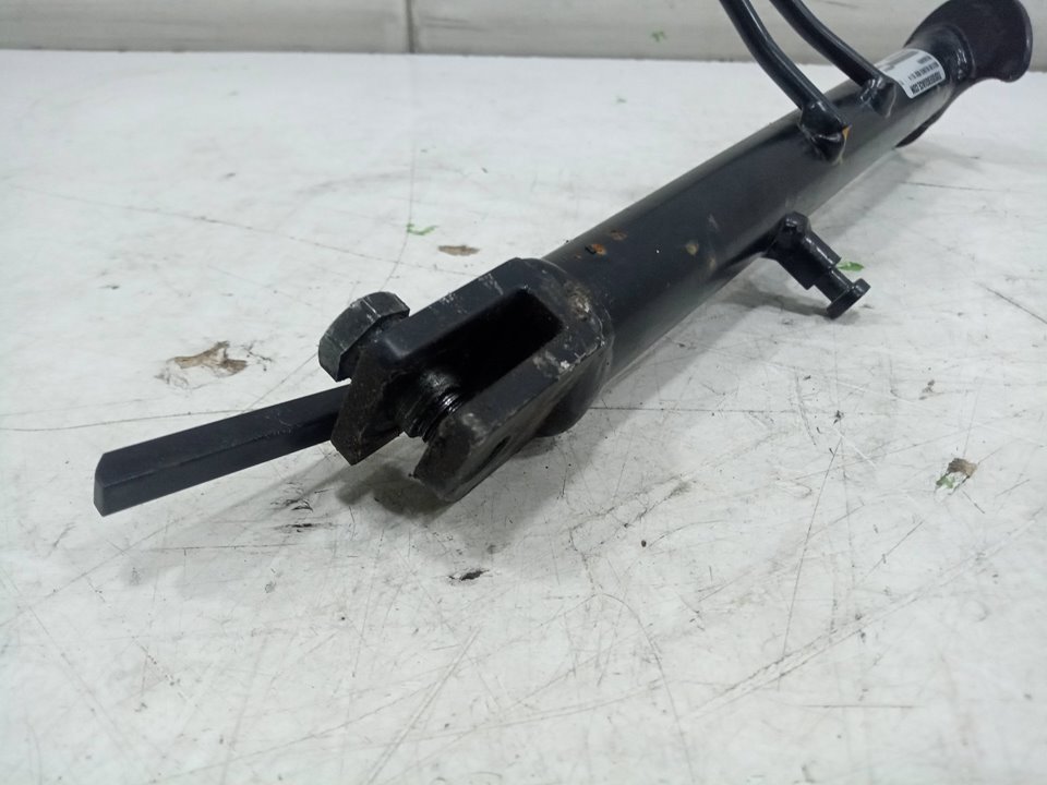 Patacabra scutum silence s02 10  4    
