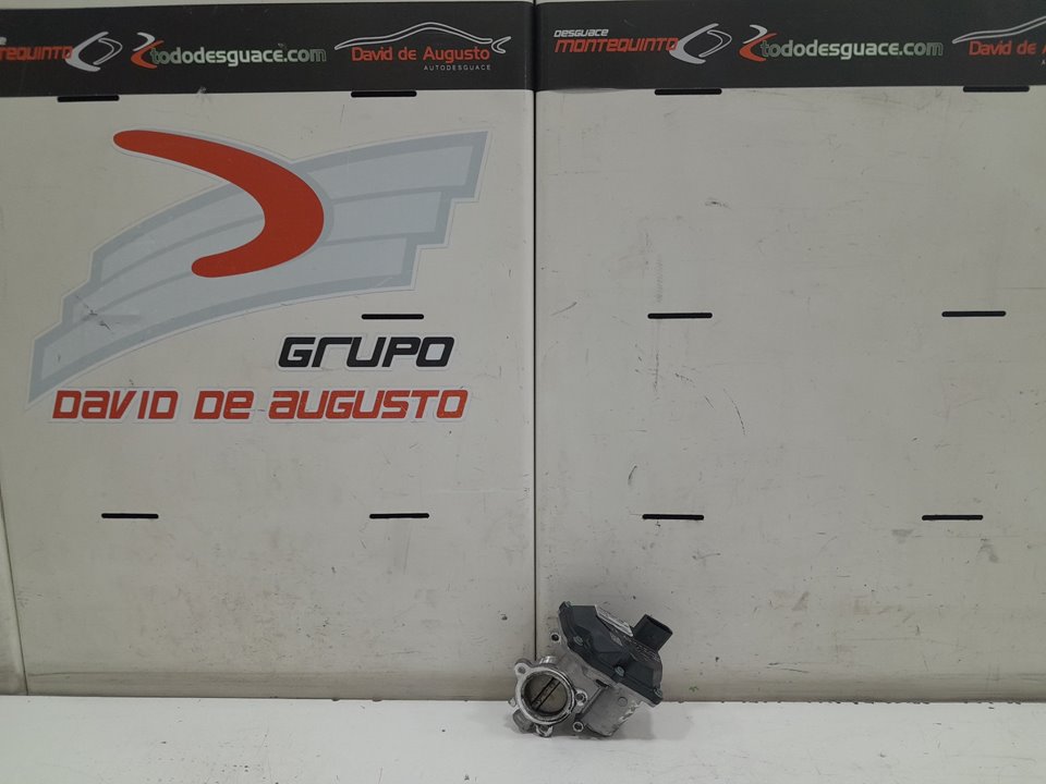 Valvula egr volkswagen passat variant   (3g5) bluemotion      05.15