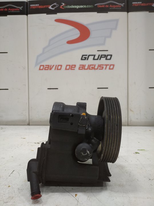 Bomba direccion peugeot 206 fastback 1.9 d