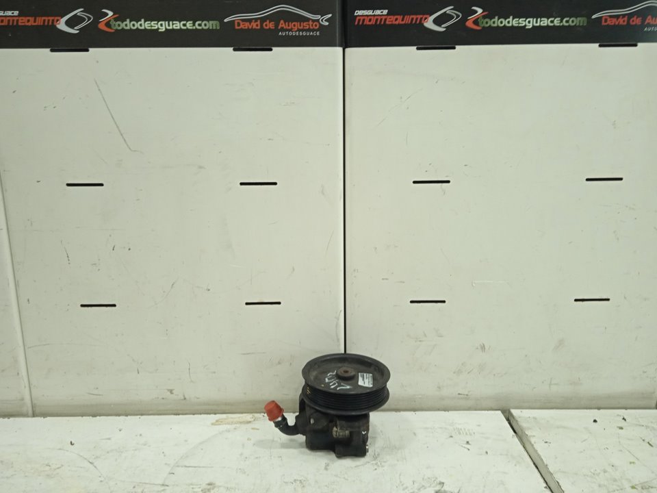 Bomba direccion ft 350 l   (largo)   lkw   (ca