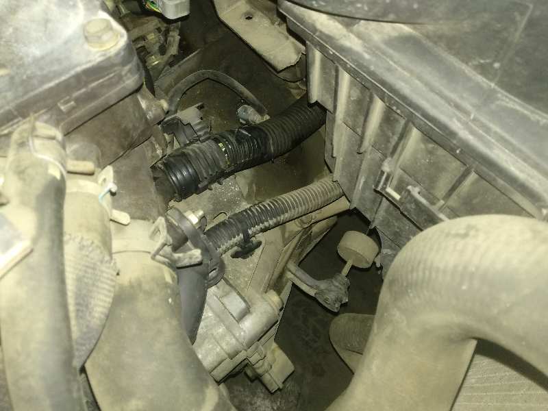 caja cambios   citroen xsara picasso 2.0 hdi exclusive 2.0 hdi cat (rhy / dw10td)