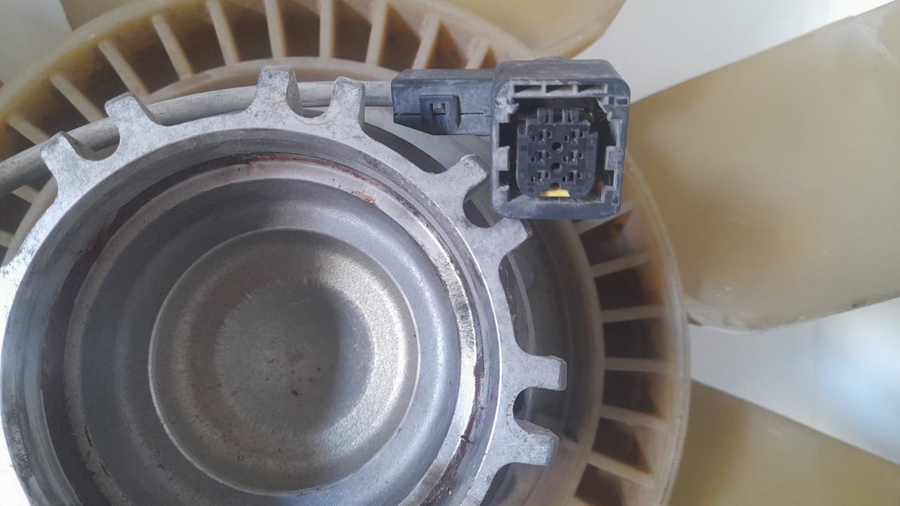 13 renault  no identificado