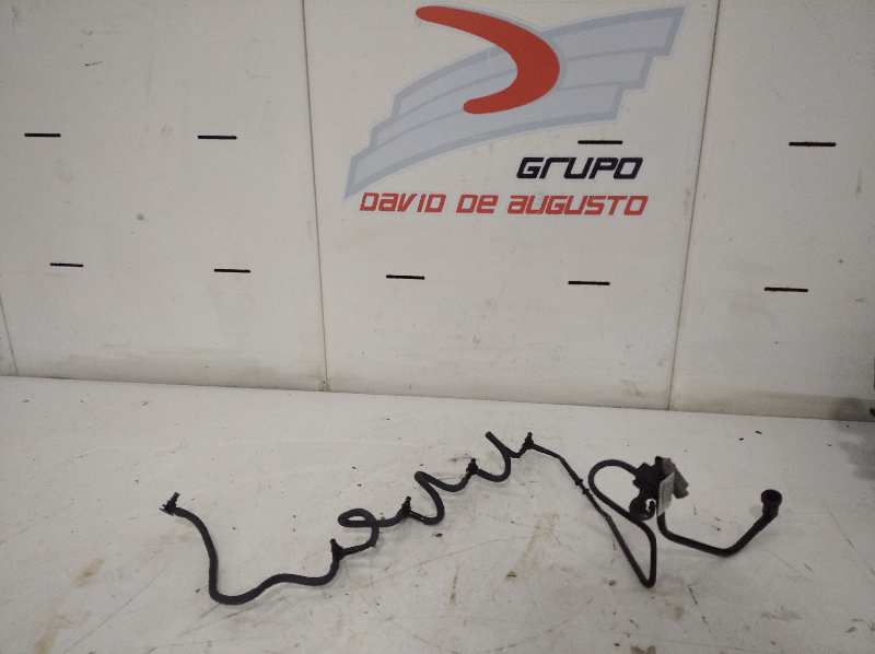 No identificado básico (1999)