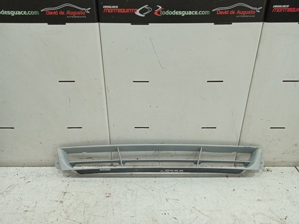 Rejilla delantera básico