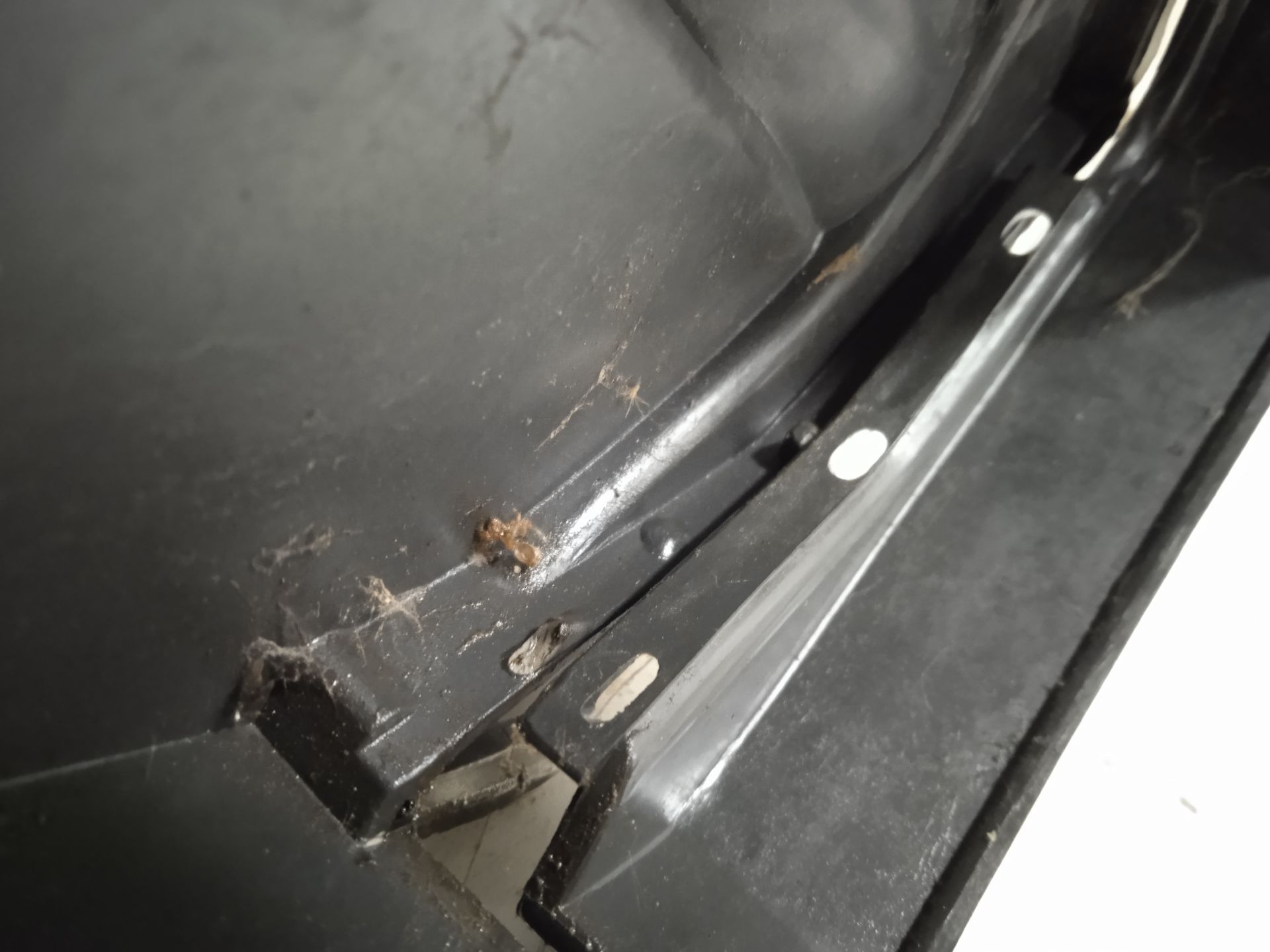 Piloto trasero derecho 