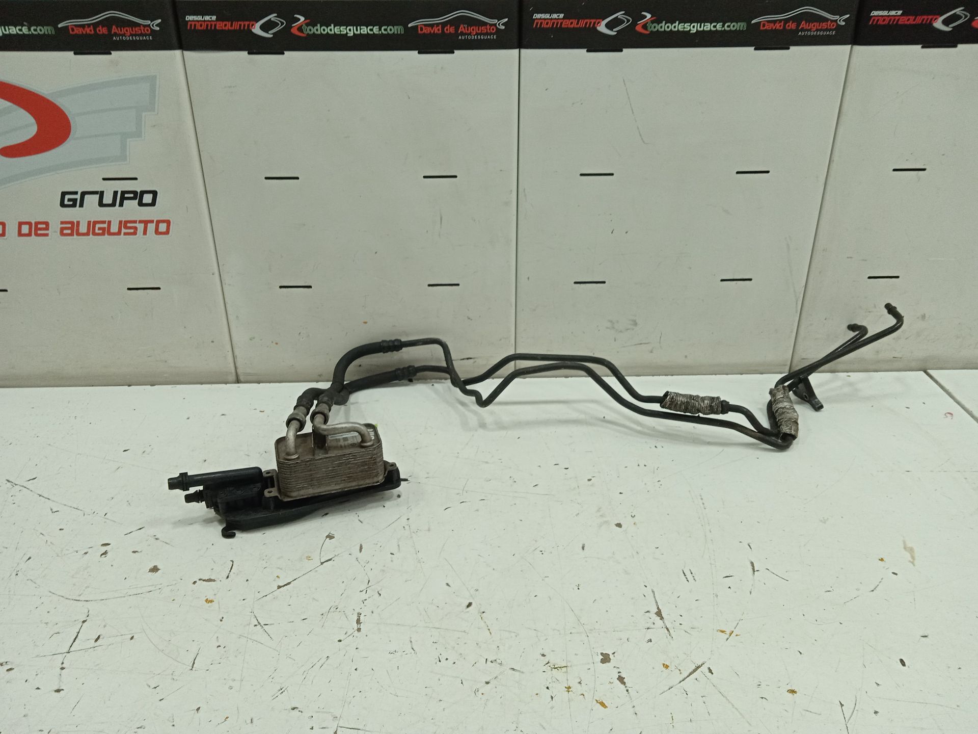 Enfriador aceite direccion bmw serie 7 (e65e66) 745i