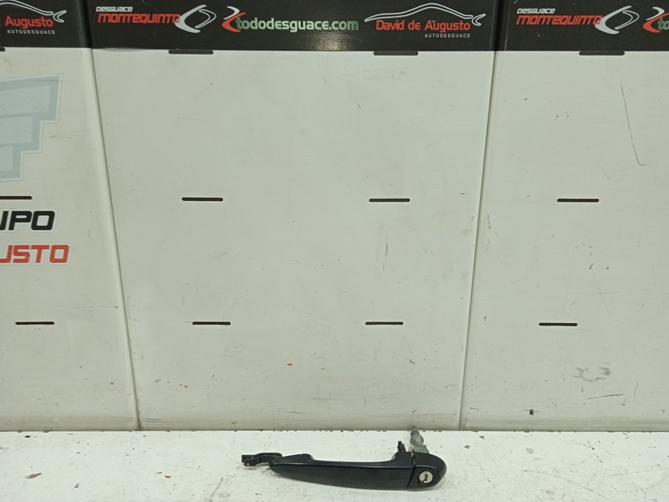 Maneta exterior delantera izquierda bmw serie 3 touring (e91) 