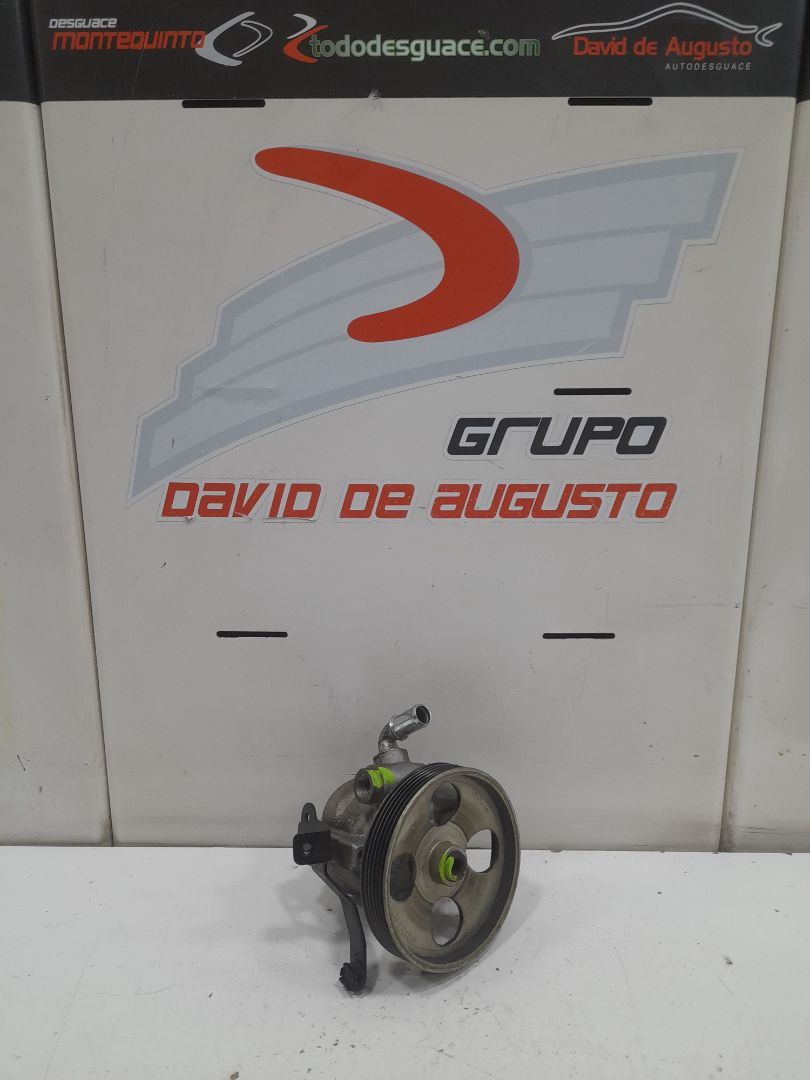 Bomba direccion citroen xsara picasso 1.6 hdi 90 sx