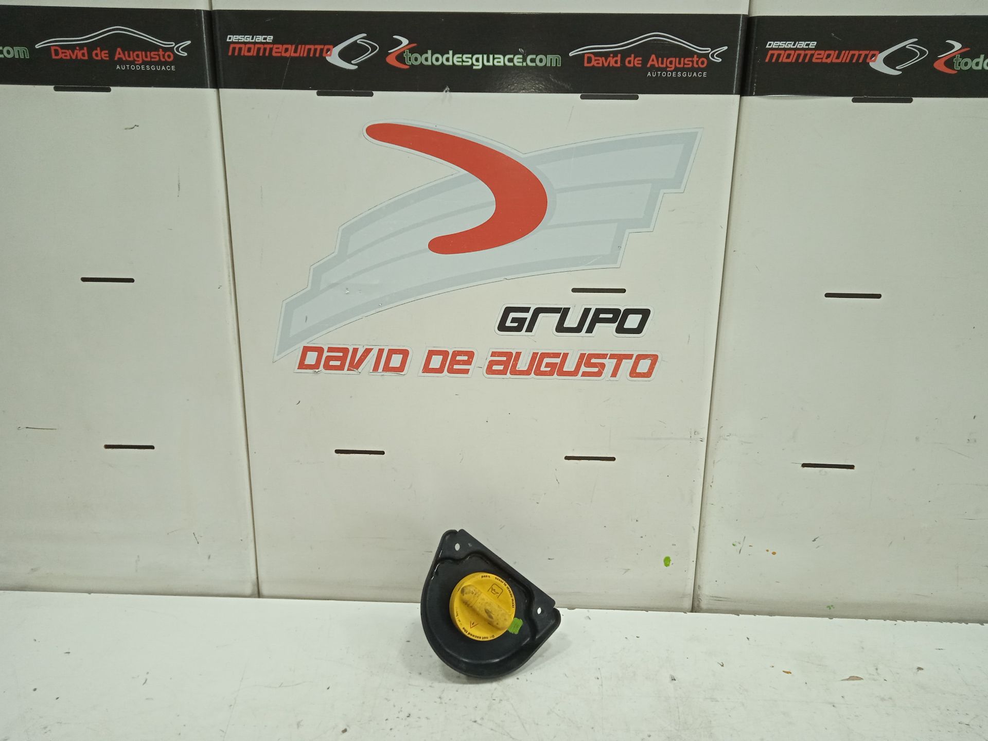 Tapon de aceite renault master iii bus l3h2 38t