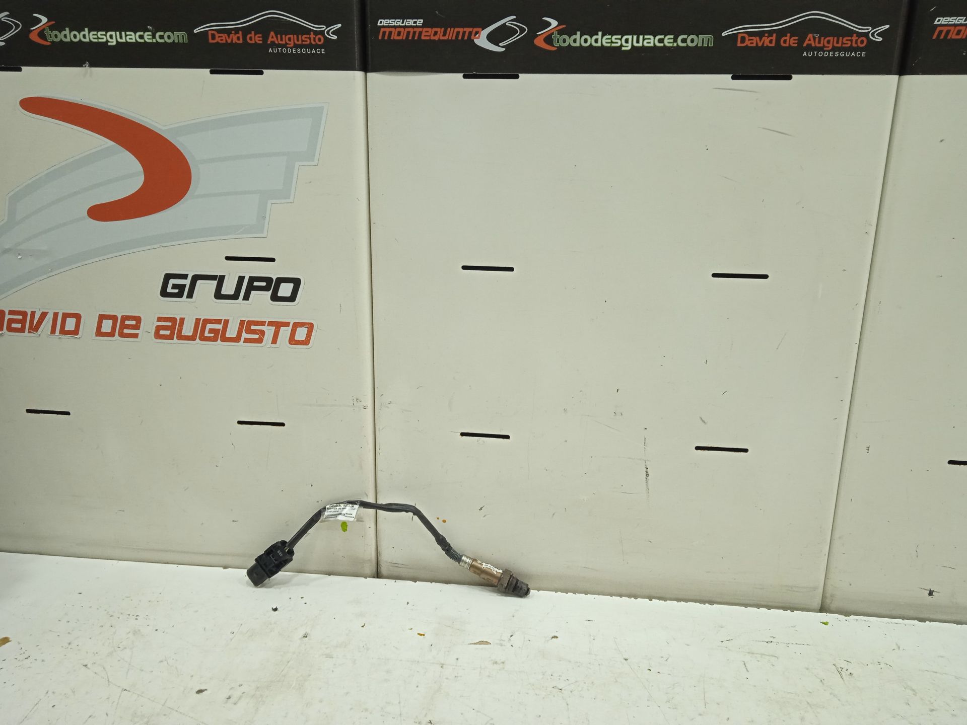 Sonda lambda básico