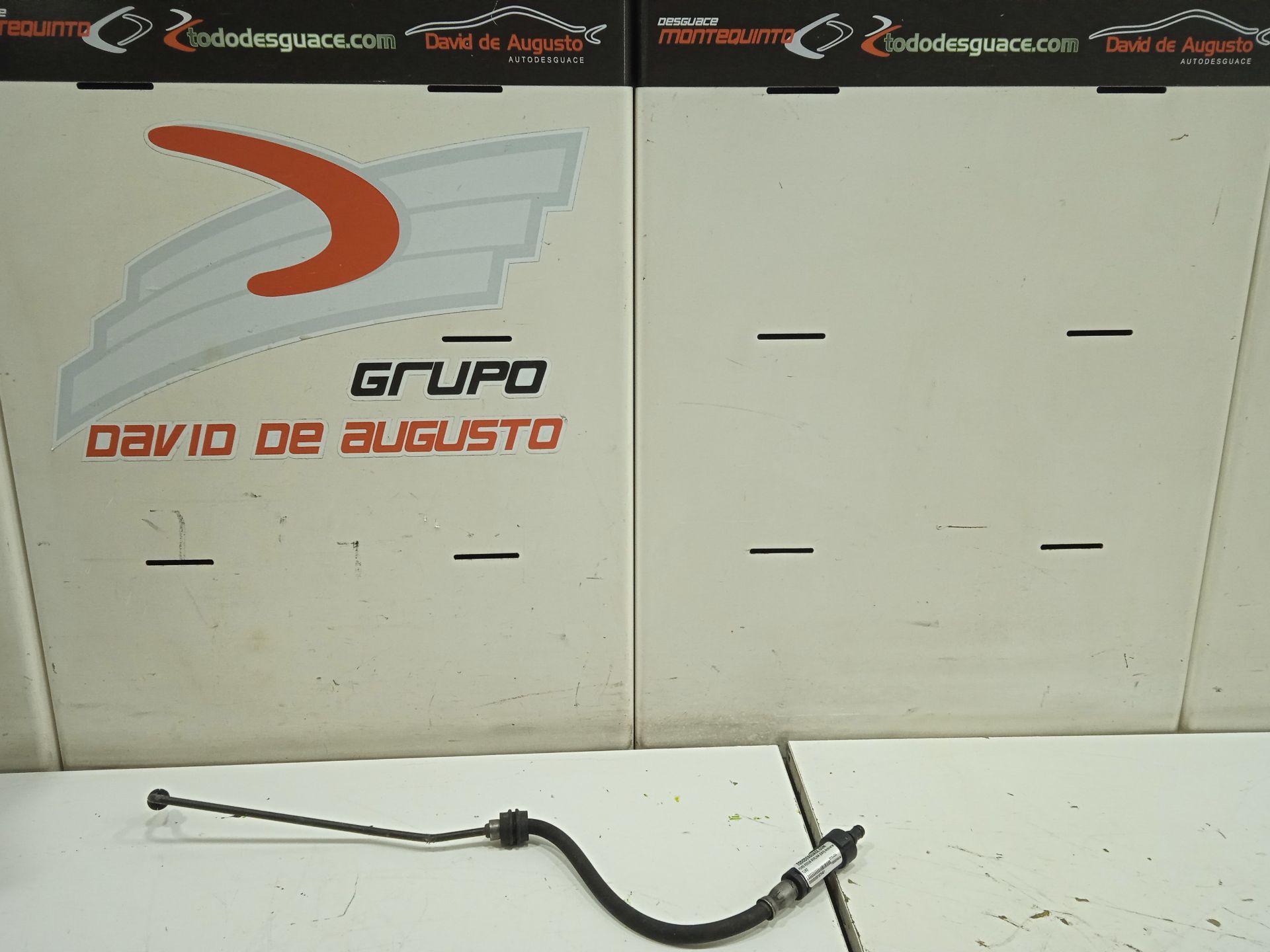 Tubo ford focus berlina (cap) ambiente (d)