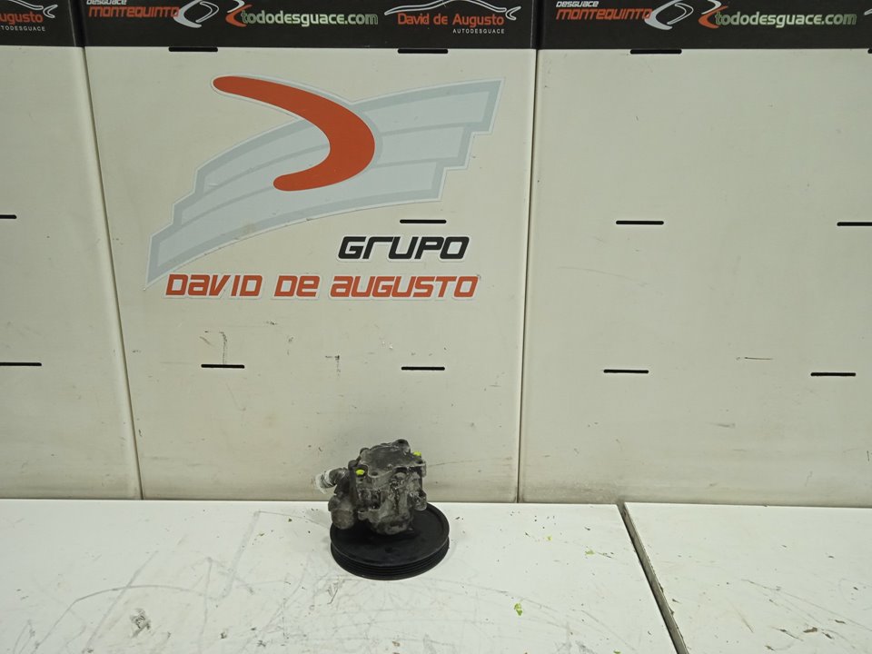 Bomba direccion bmw serie 3 berlina (e90) 