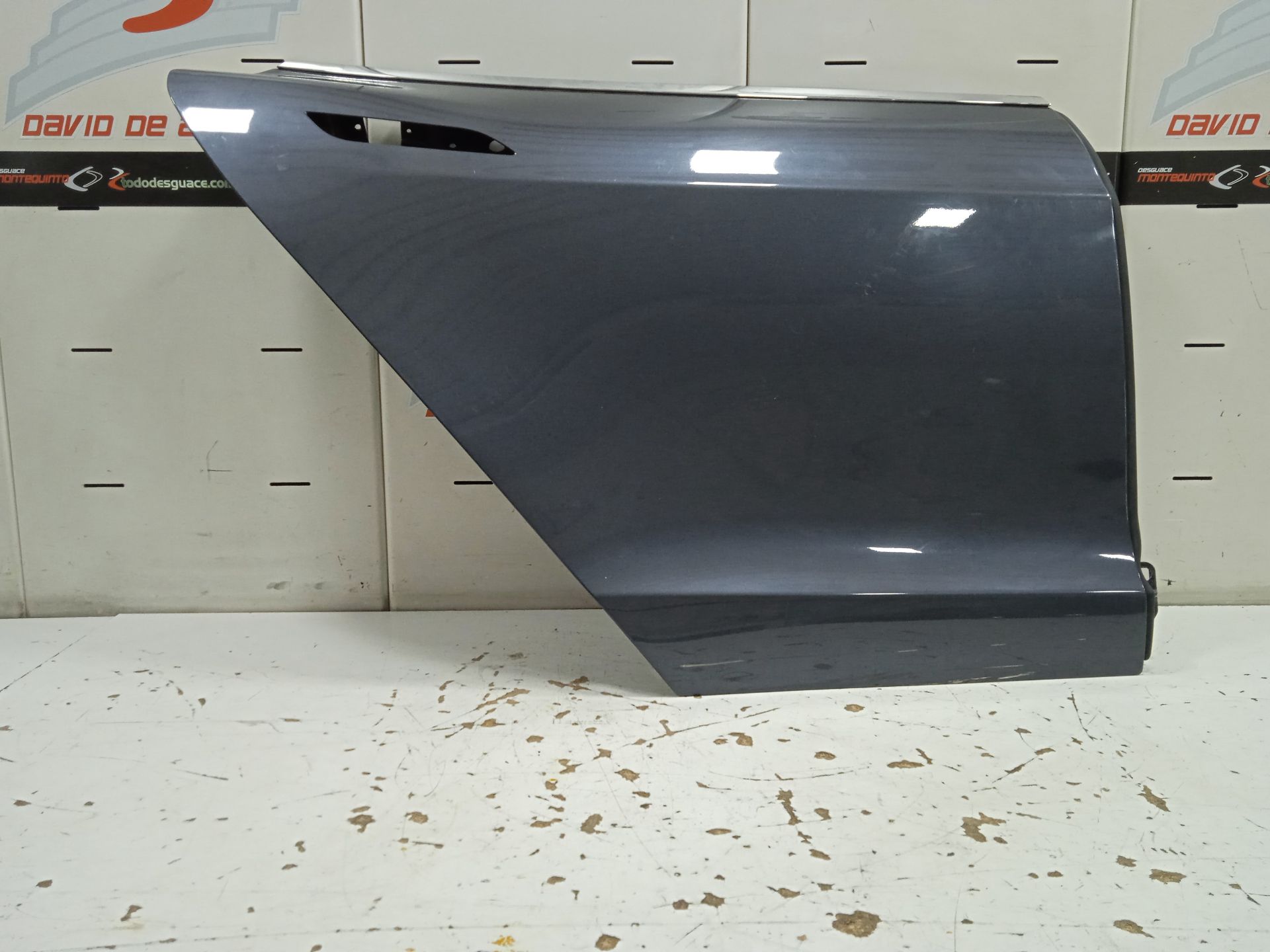 Puerta trasera derecha tesla model s basis