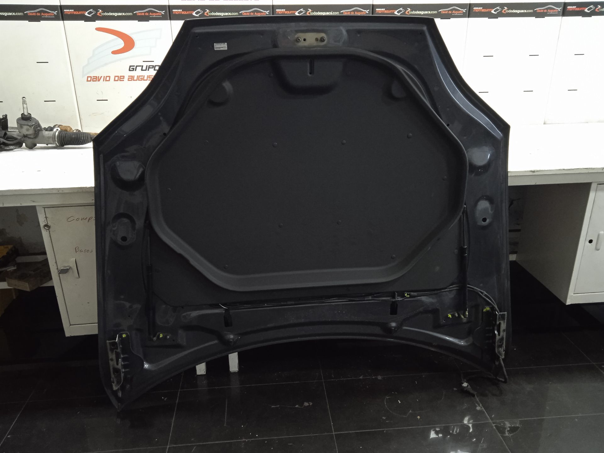 Capo tesla model s basis