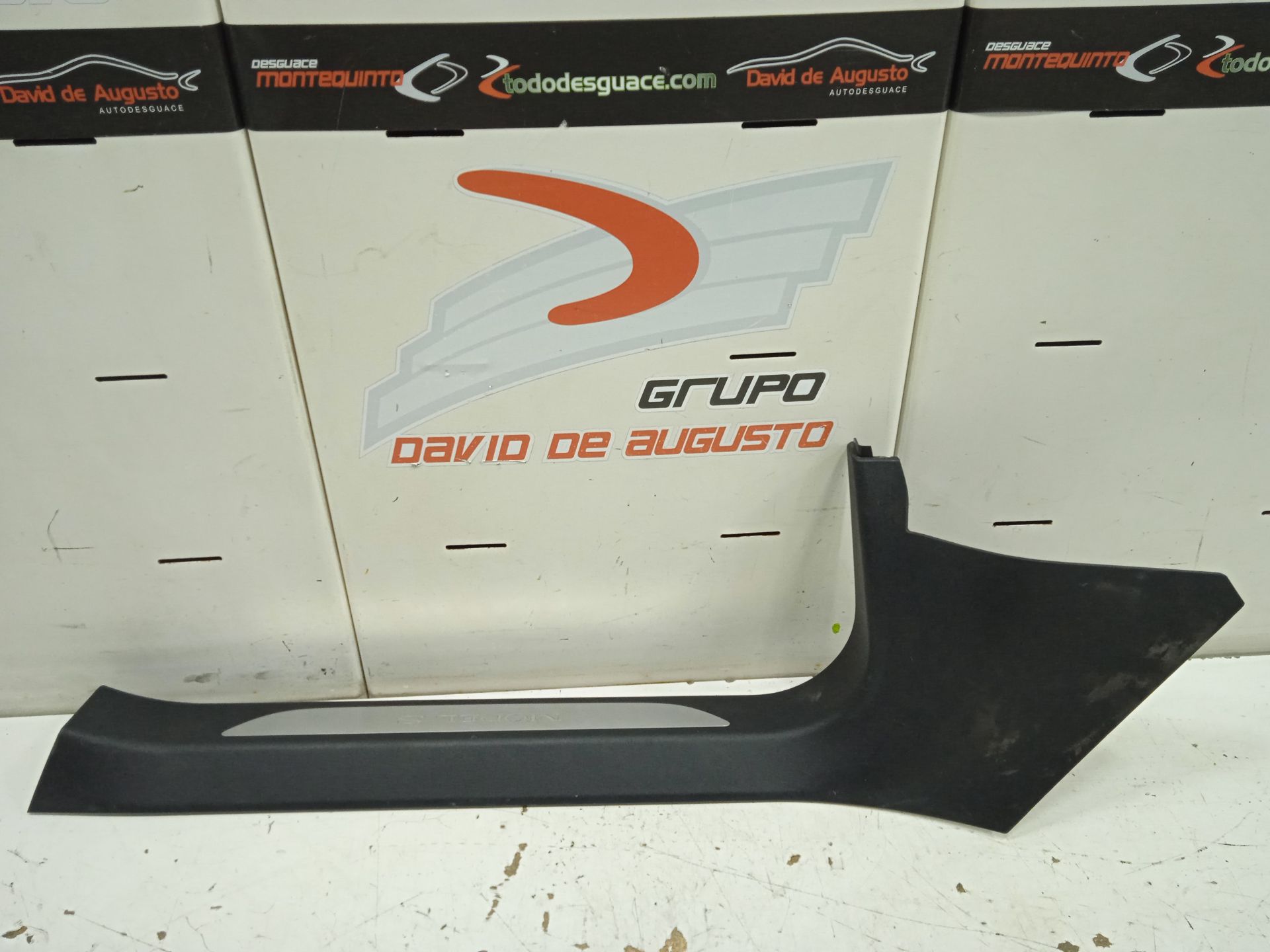 Moldura tesla model s basis