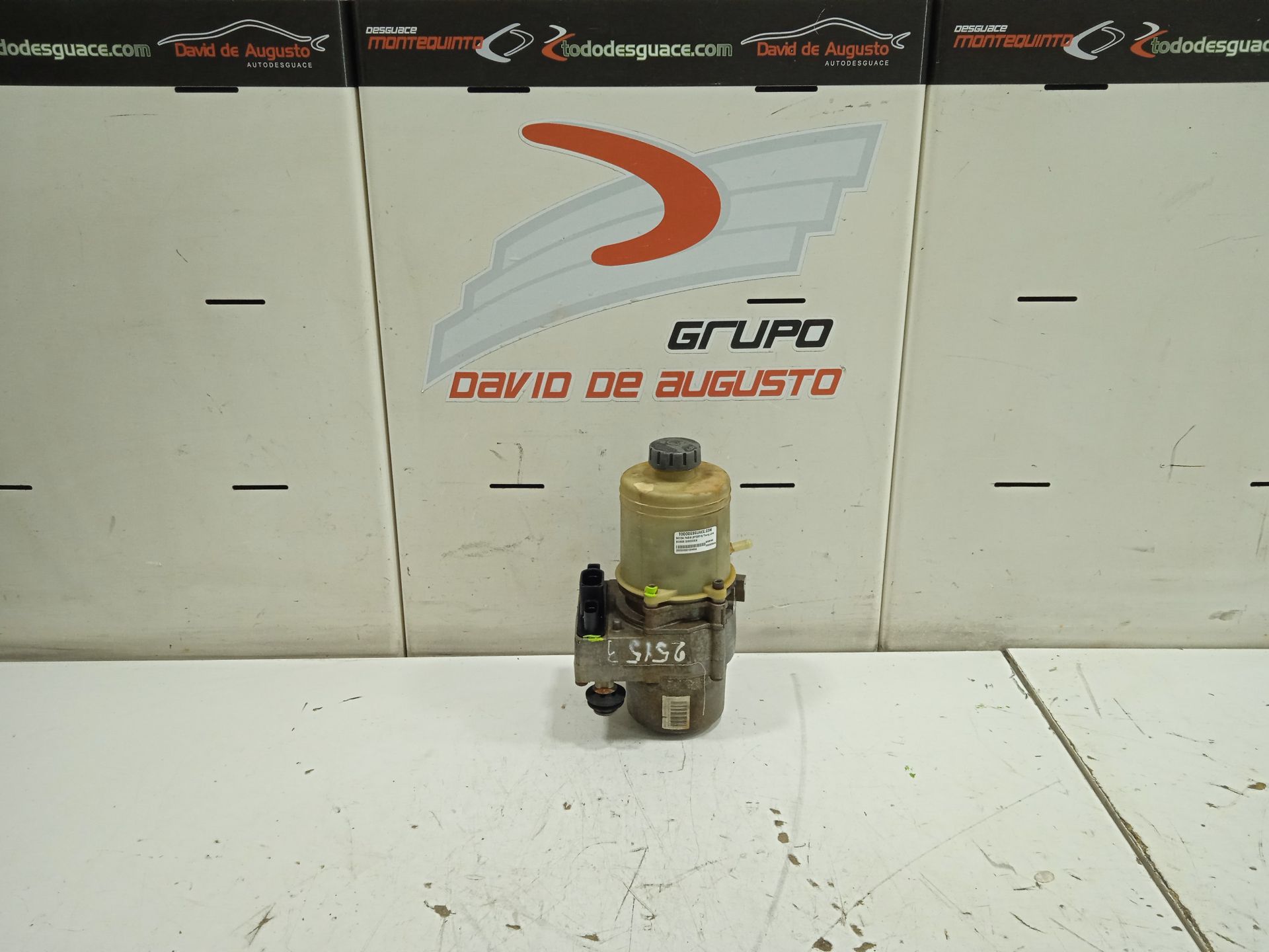 Bomba direccion skoda fabia (6y26y3) young line