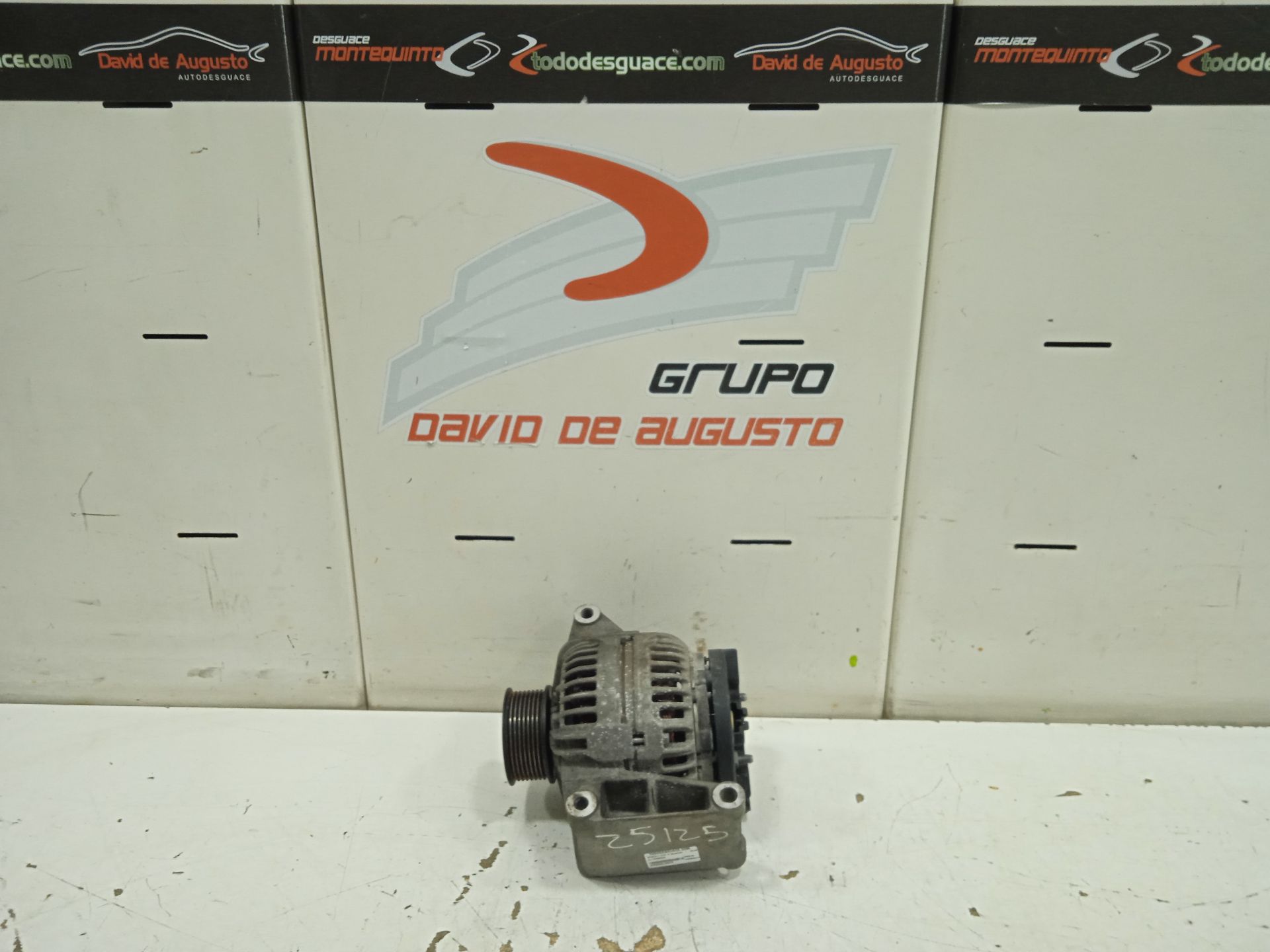 Alternador renault clio iii exception