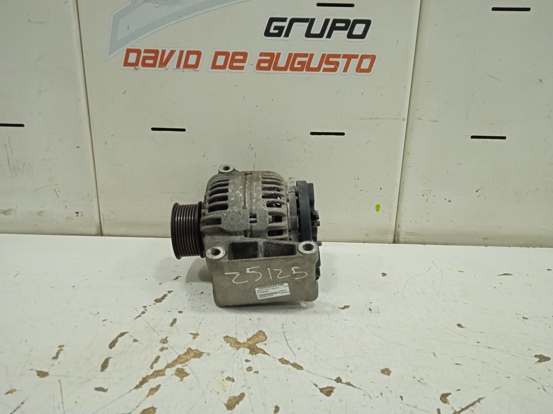Alternador renault clio iii exception