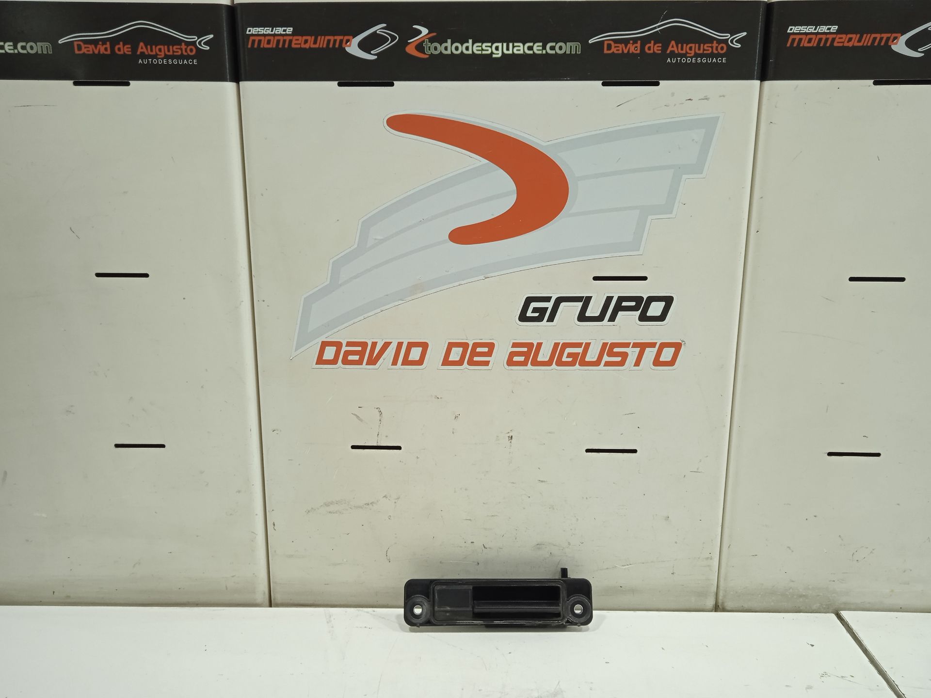 Maneta exterior porton mercedes-benz clase r (bm 251) 320 cdi (251.022)