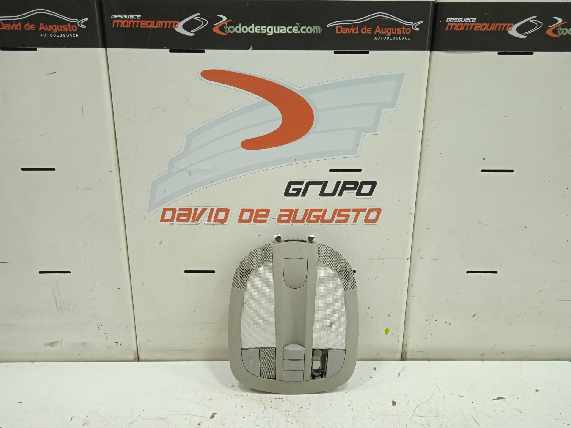 Luz interior mercedes-benz clase r (bm 251) 320 cdi (251.022)
