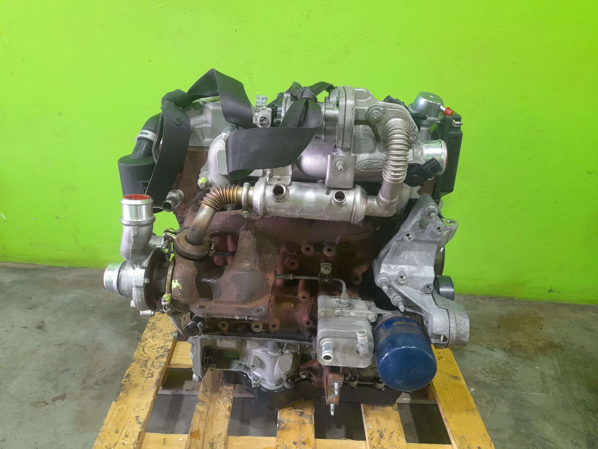 Motor completo ford tourneo connect (tc7) kombi corta (2009)
