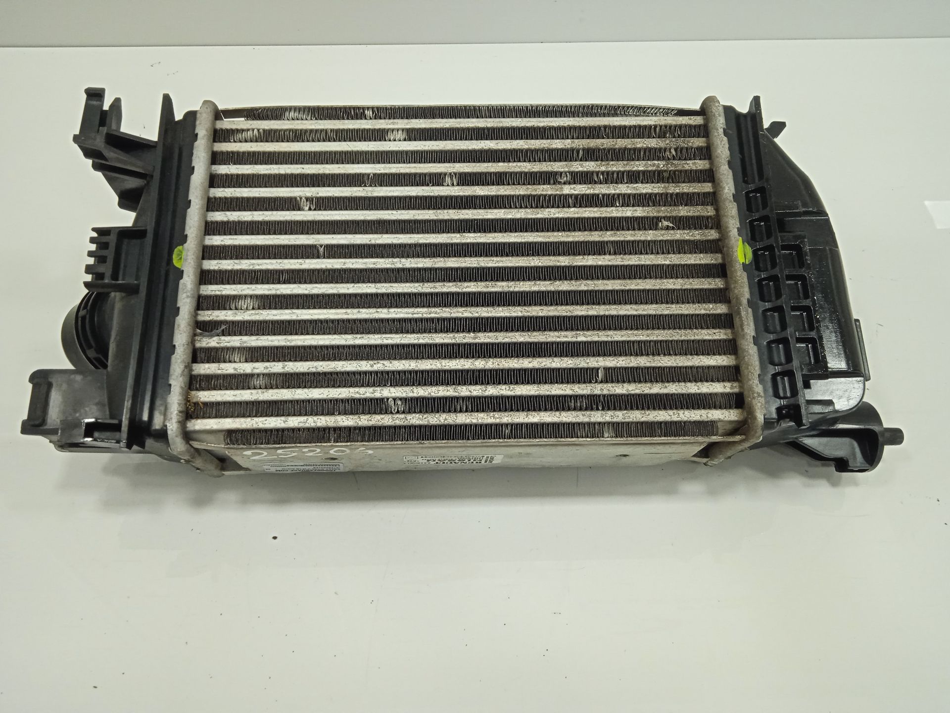 Intercooler nissan micra (k14) acenta