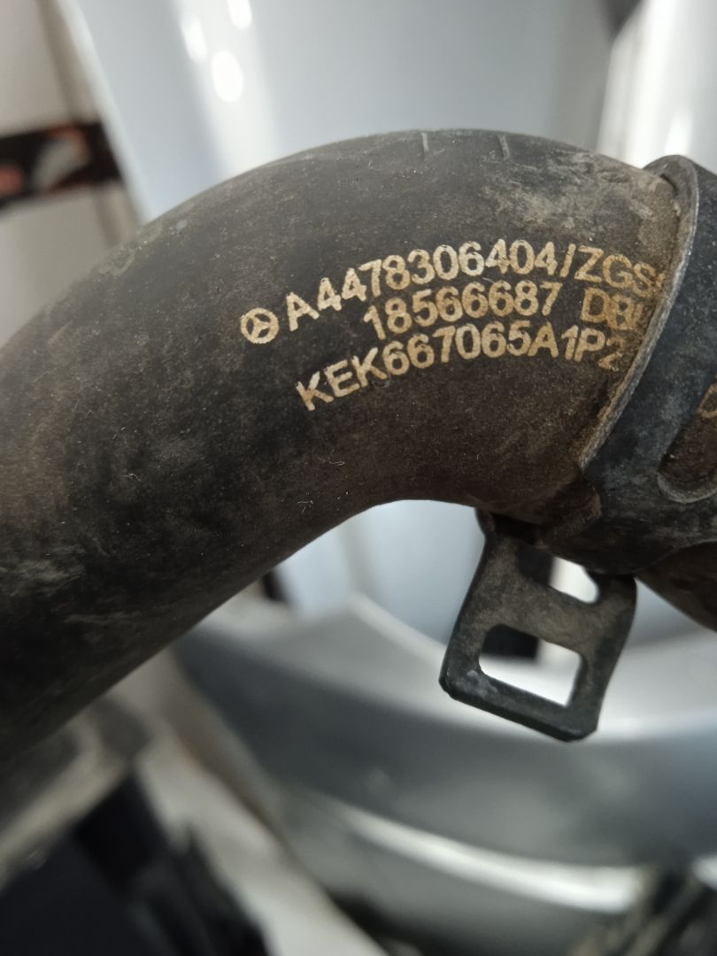 No identificado mercedes-benz eqv -clase (447) 