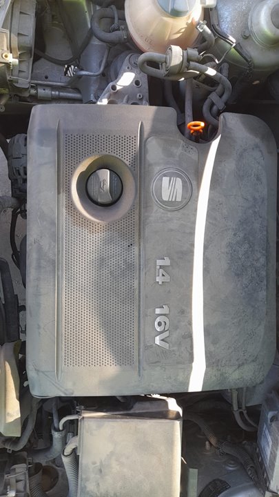 Motor completo seat ibiza (6l1) cool