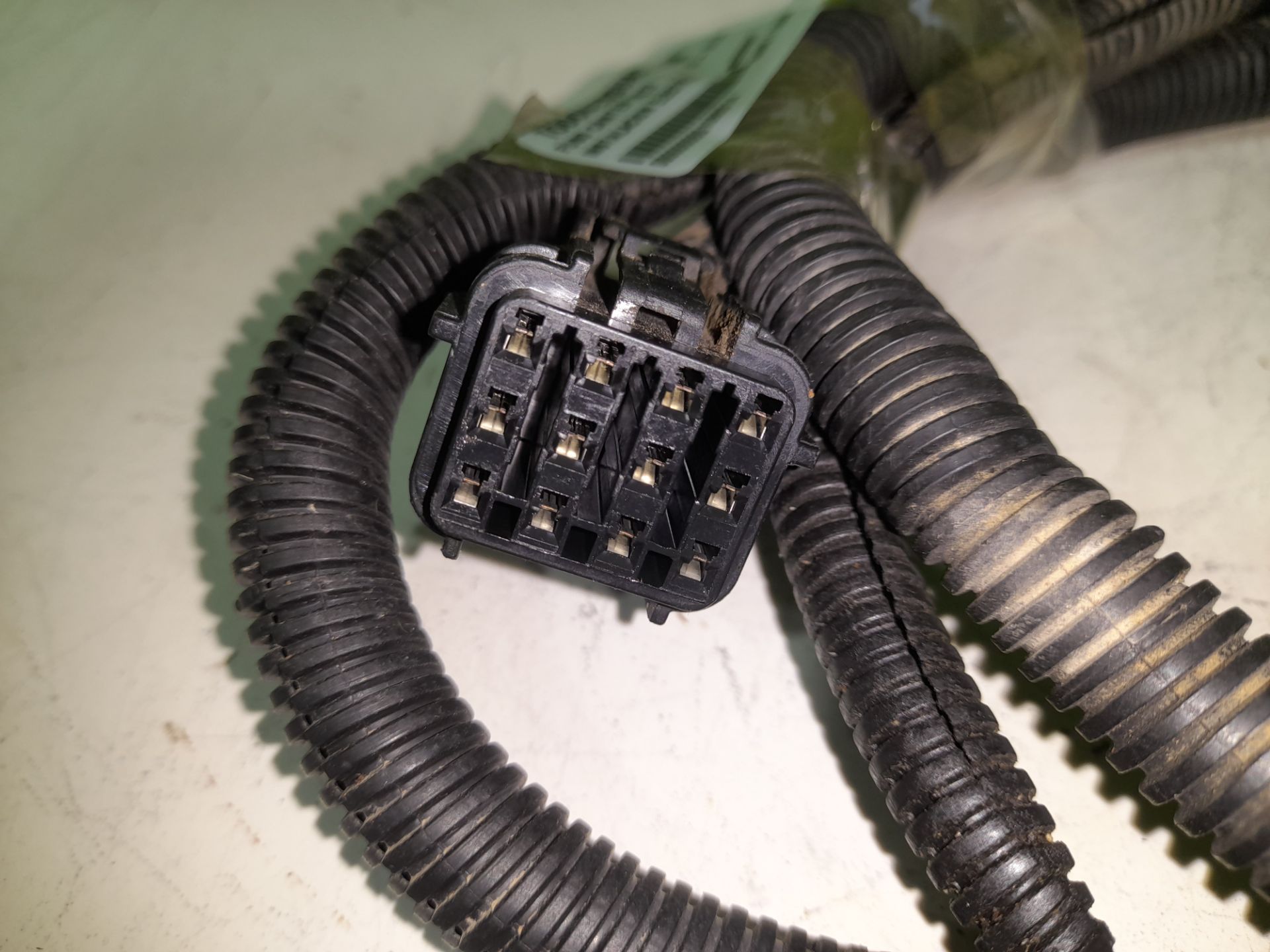 No identificado   no identificado