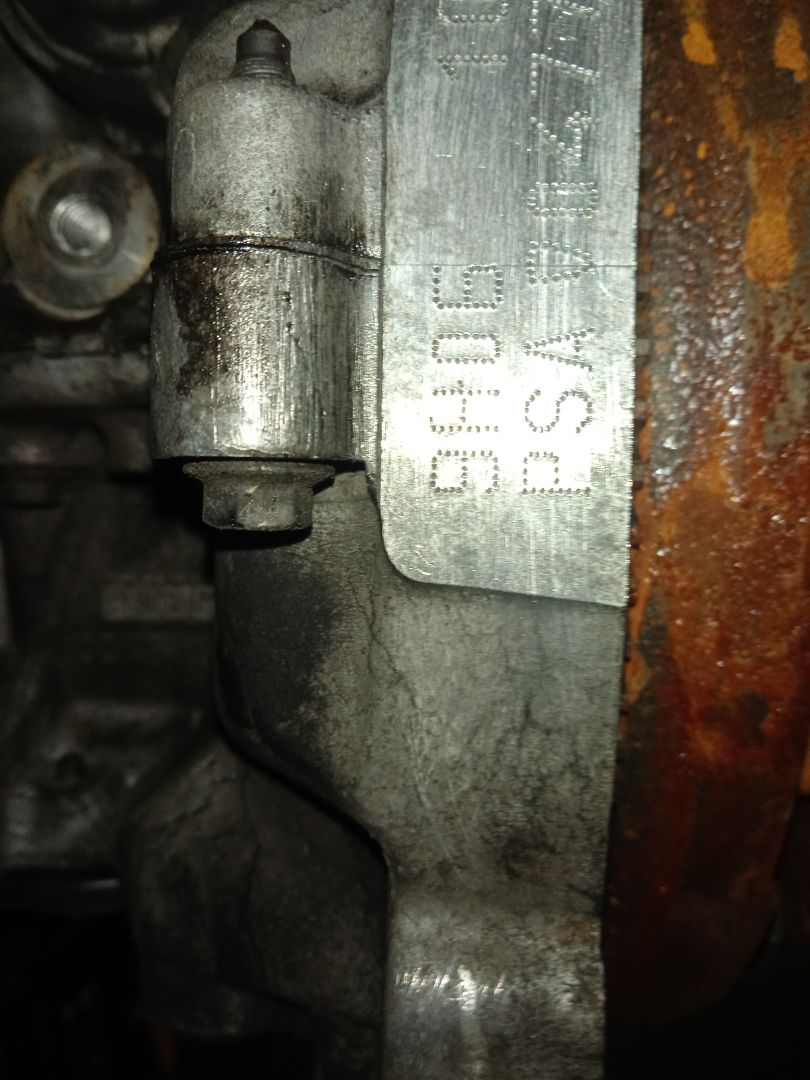 Motor completo l1