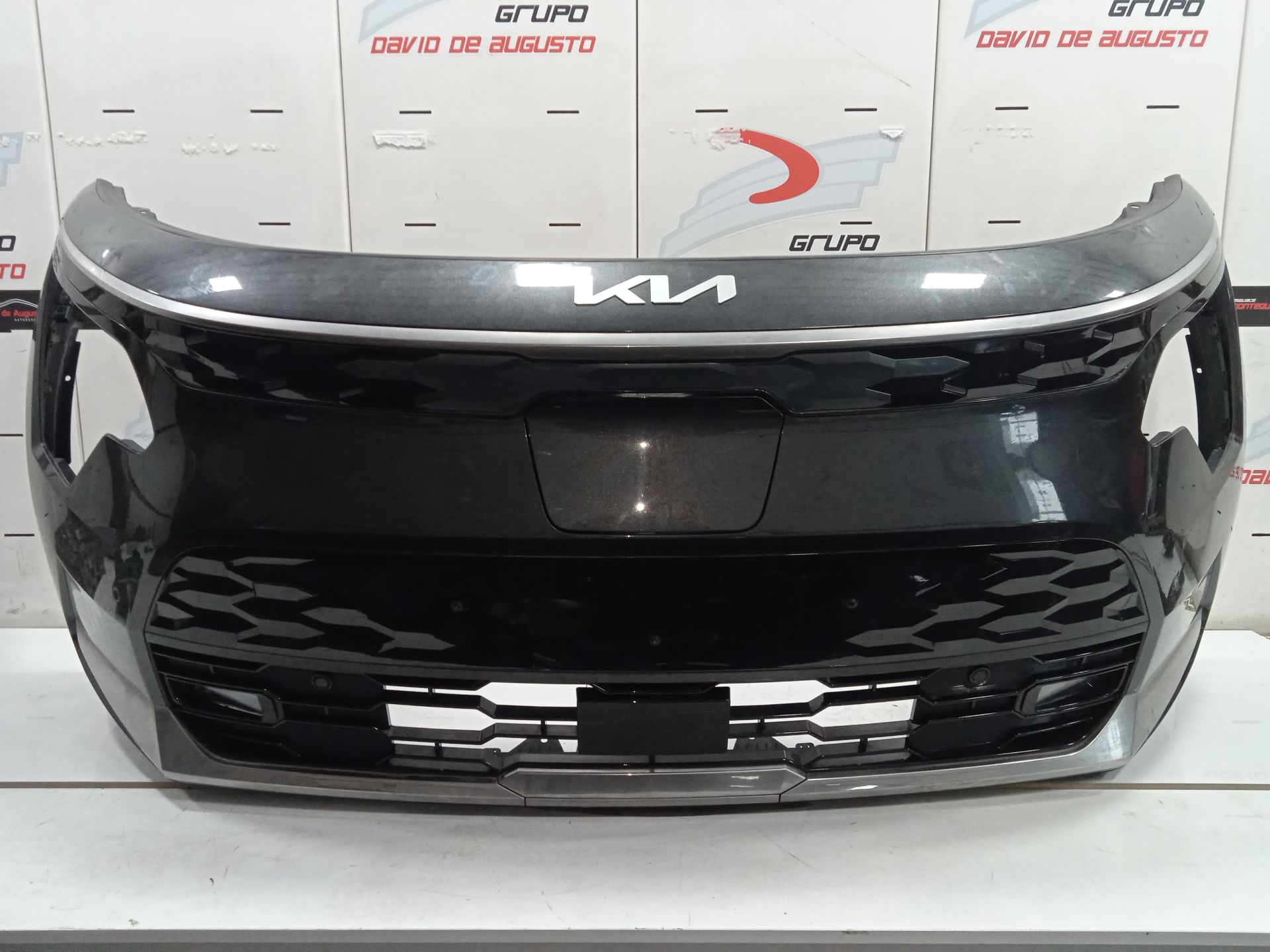Morro completo kia niro (sg2) ewinter edition