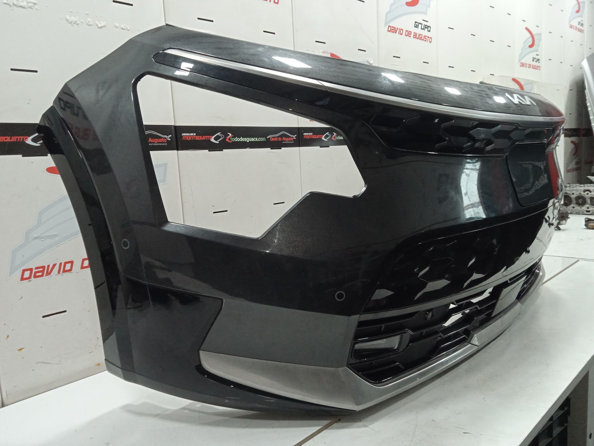 Morro completo kia niro (sg2) ewinter edition