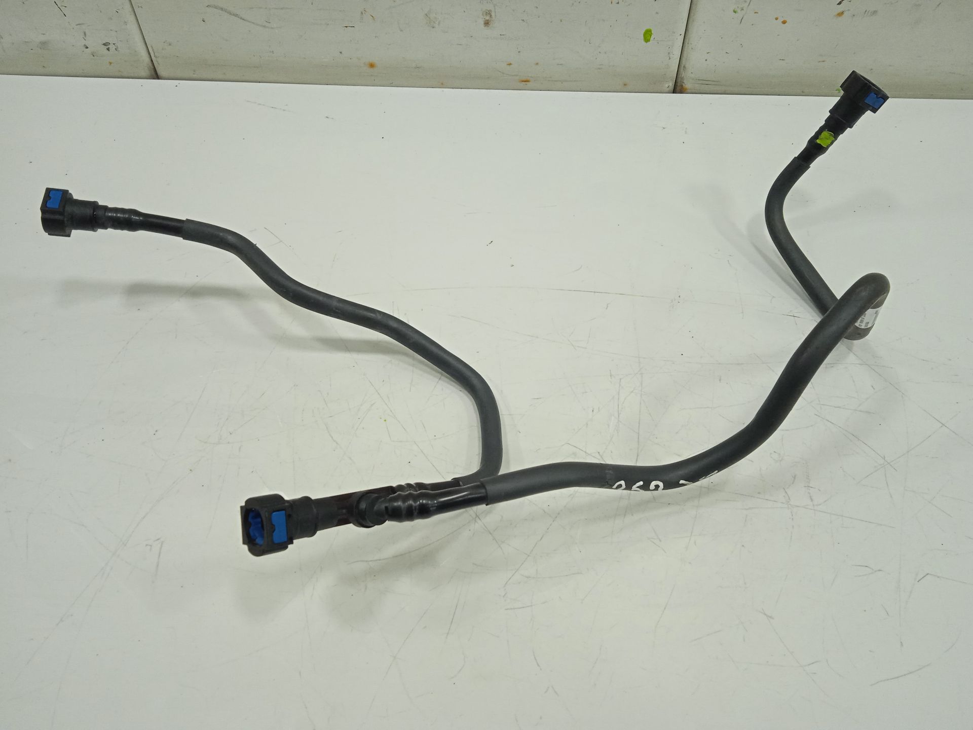 No identificado   no identificado