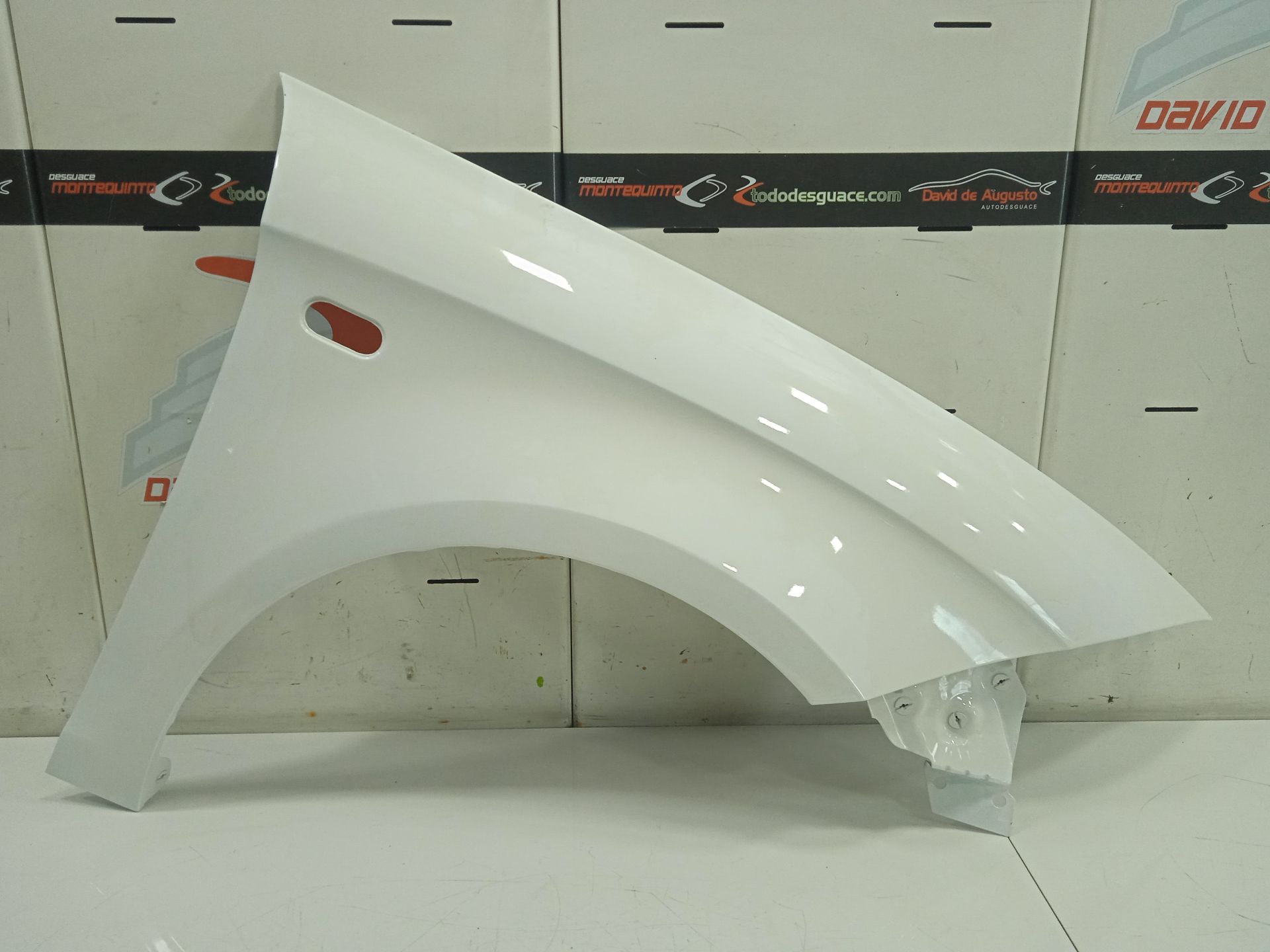 Aleta delantera derecha seat altea xl (5p5) family