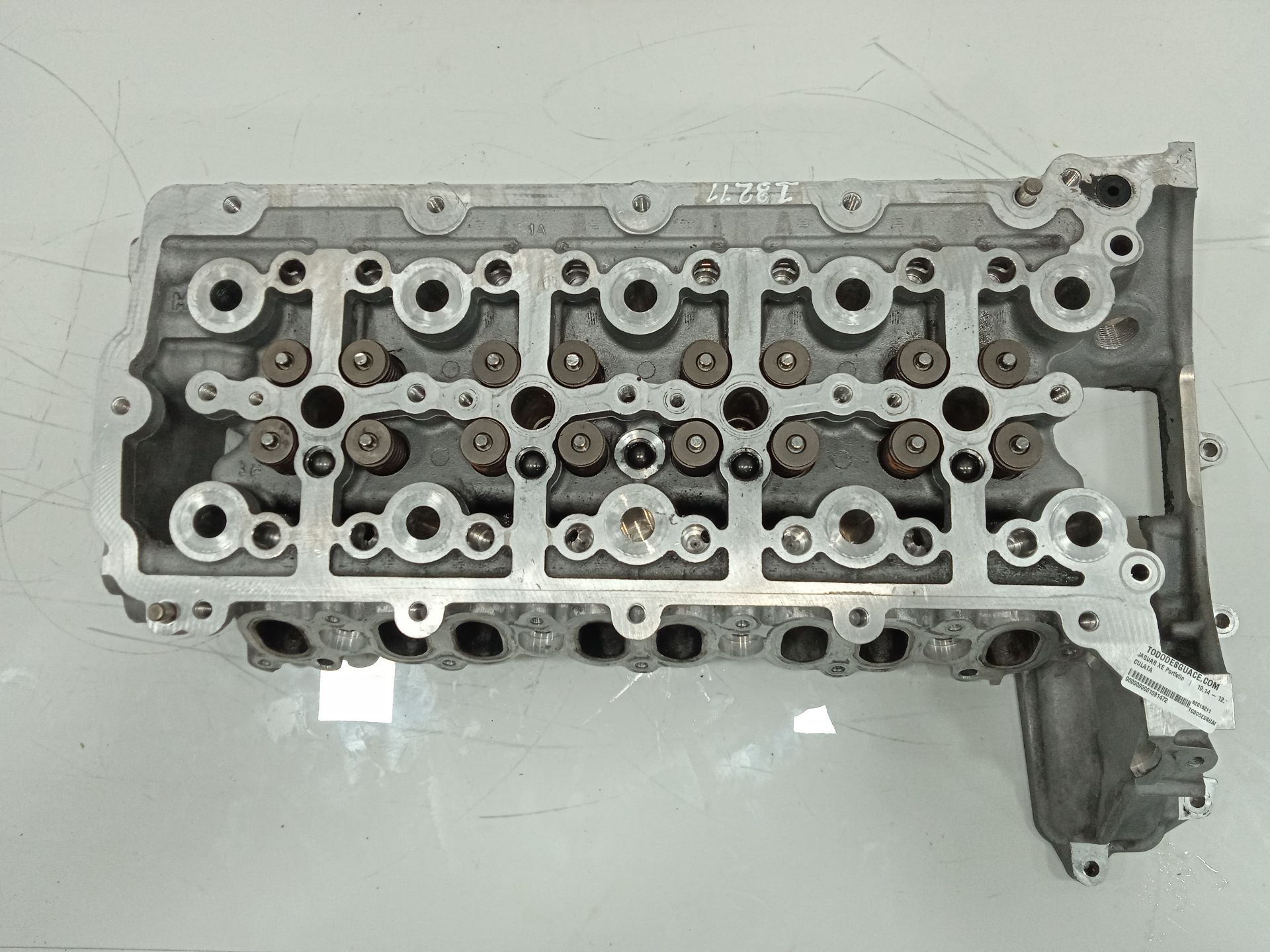 Culata jaguar xe portfolio