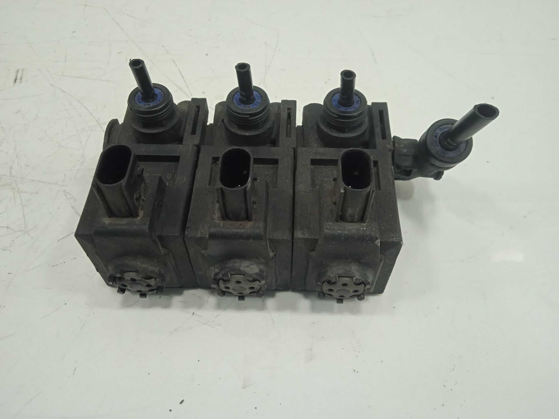 No identificado   no identificado