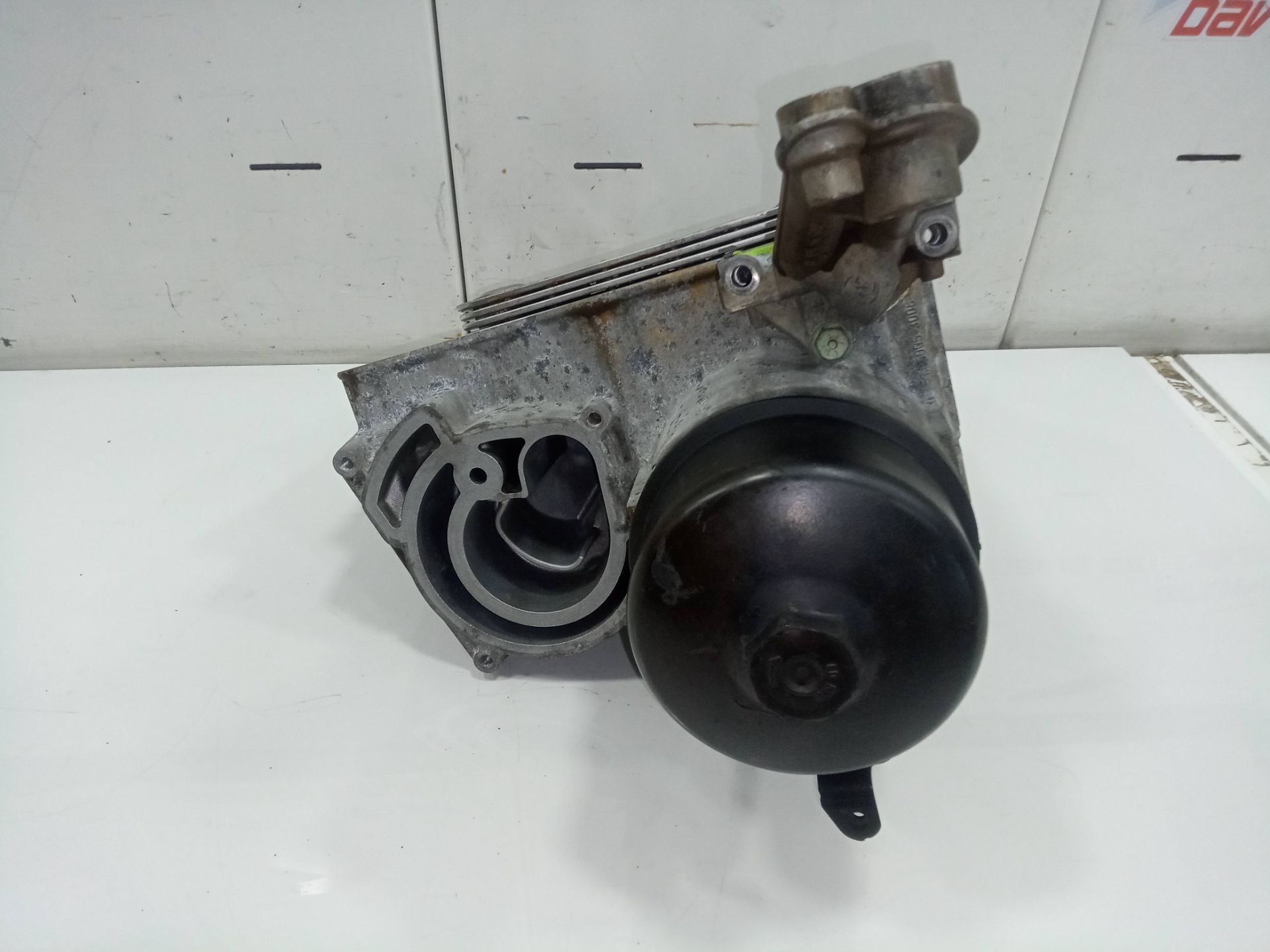 Enfriador aceite motor man tgx 18.xxx (2007) fg    4x2   bl xl