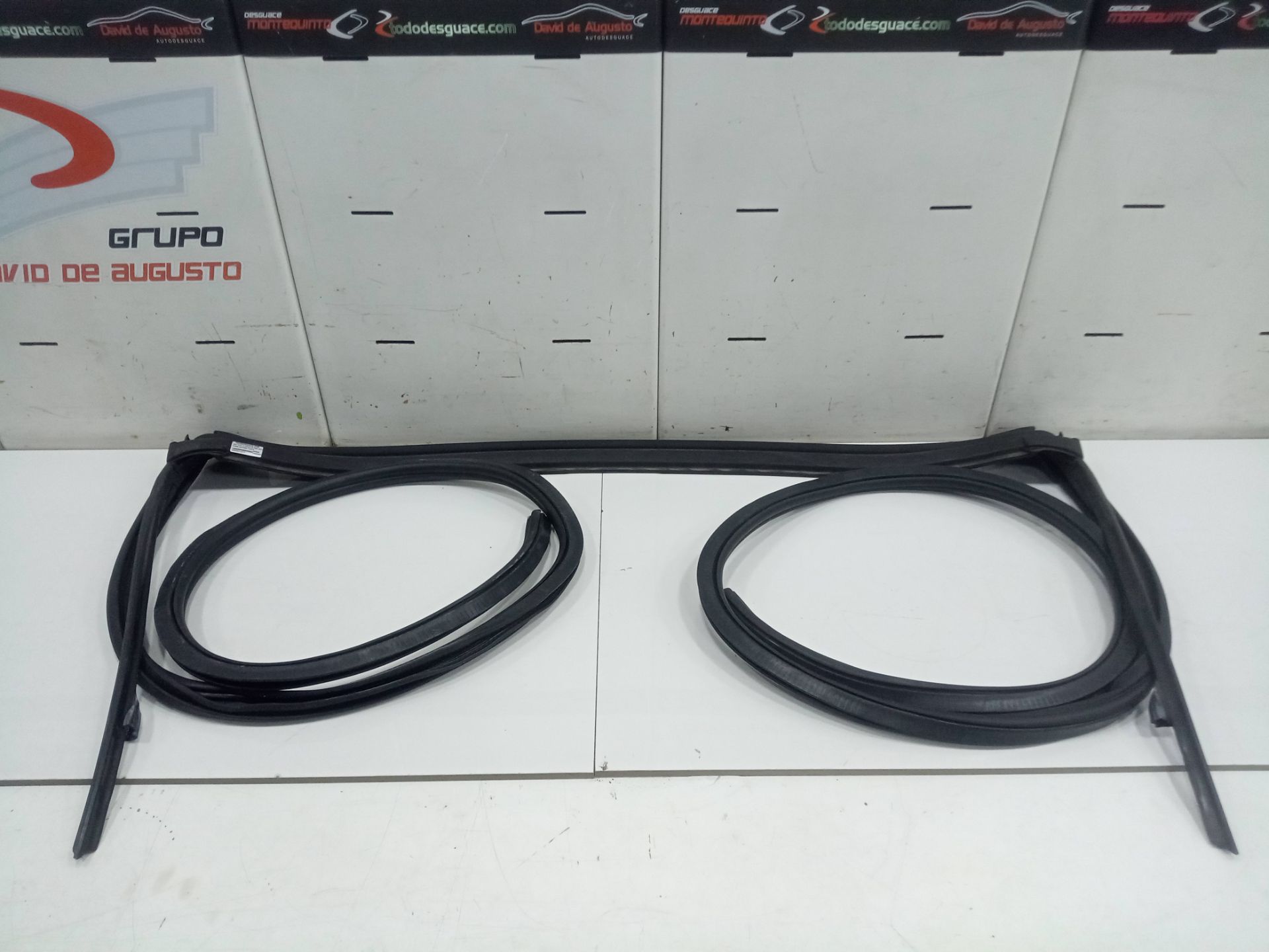 Gomas contorno puerta bmw serie z4 roadster (g29) sdrive 30i