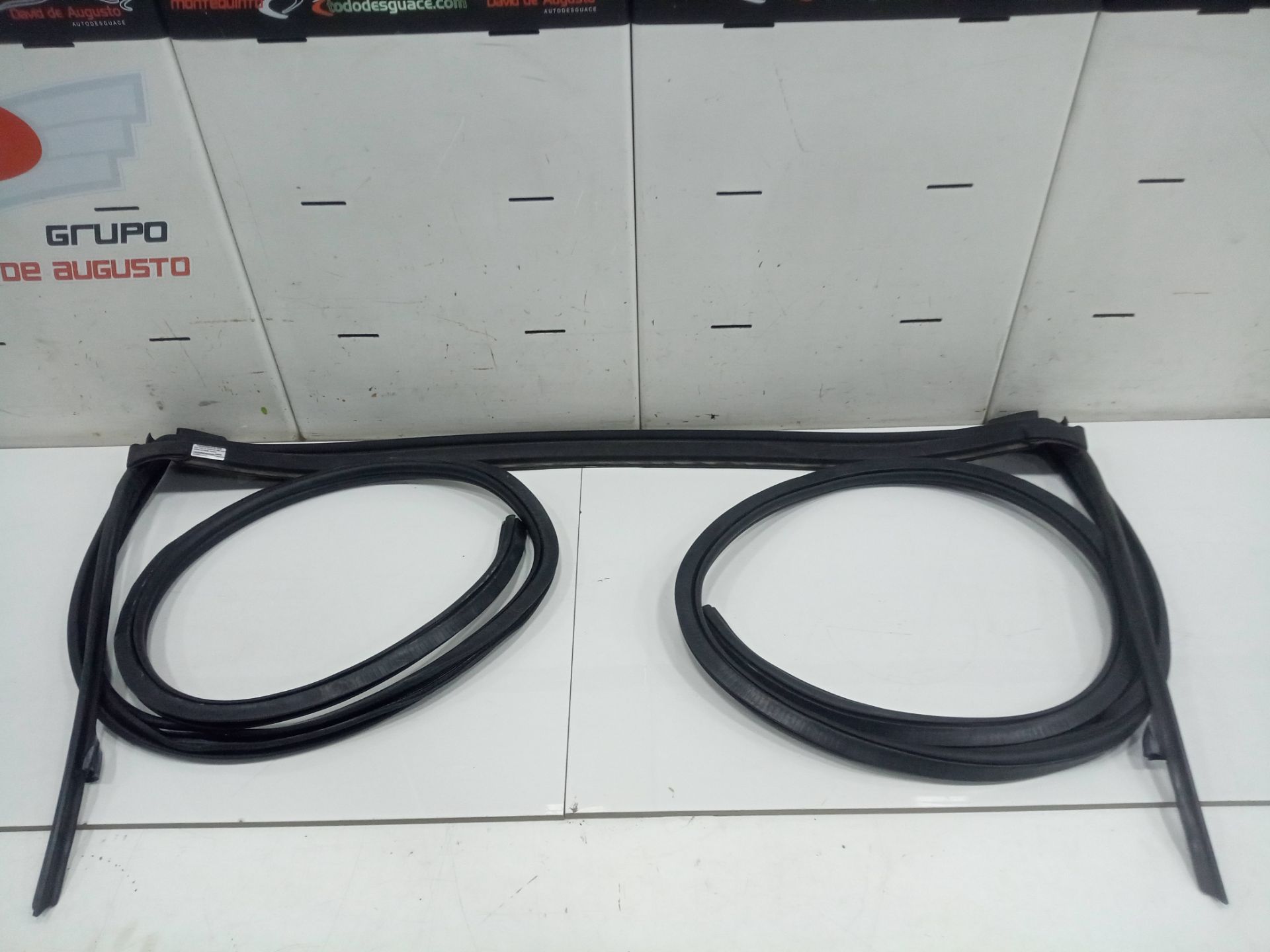Gomas contorno puerta bmw serie z4 roadster (g29) sdrive 30i