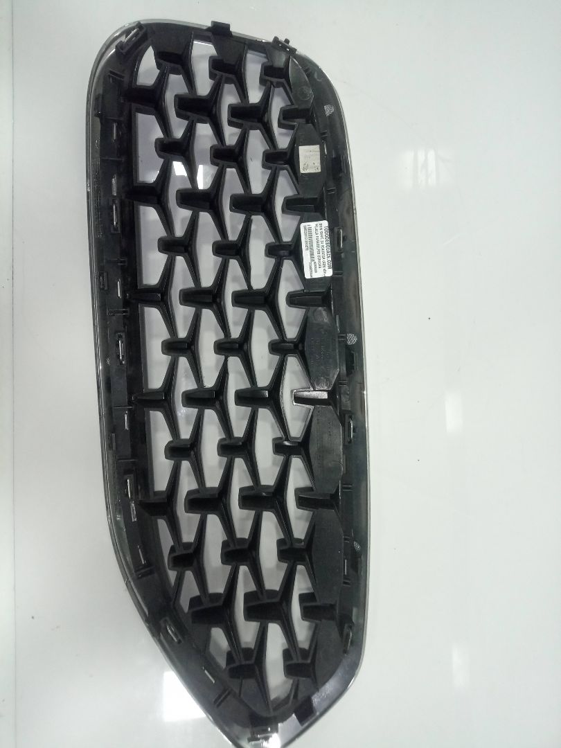 Rejilla paragolpes derecha bmw serie z4 roadster (g29) sdrive 30i