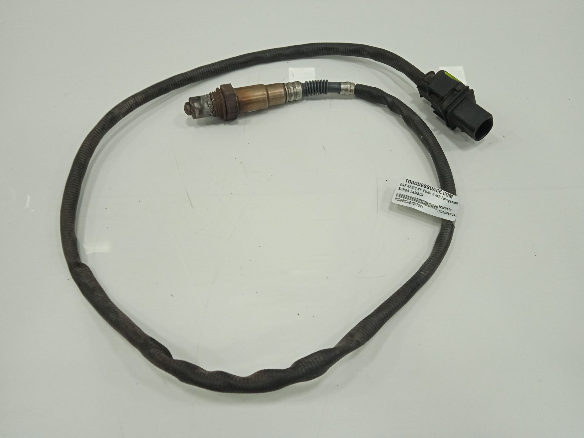 Sonda lambda daf serie xf euro 6 4x2 fahrgestell spacecab