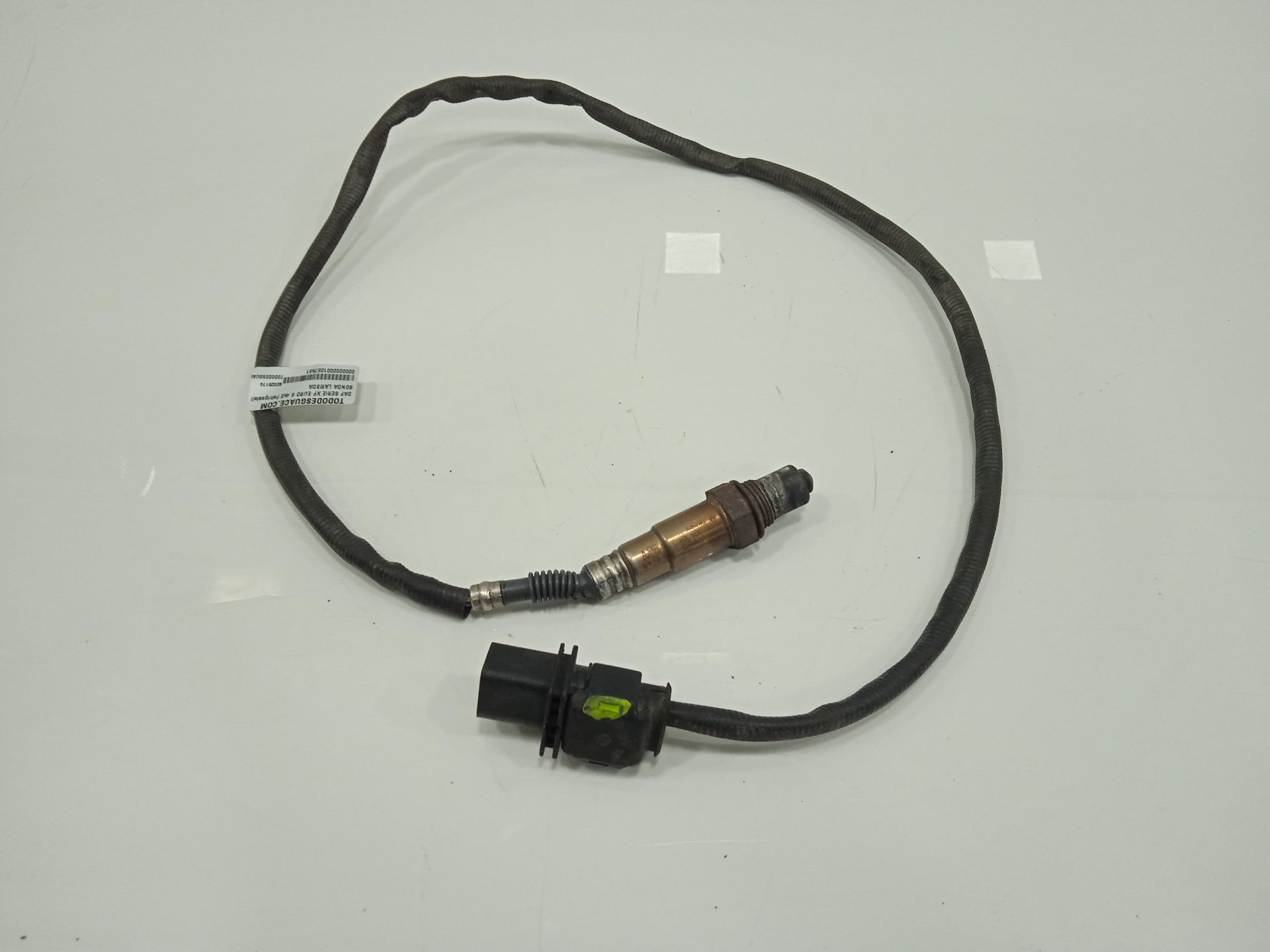 Sonda lambda daf serie xf euro 6 4x2 fahrgestell spacecab