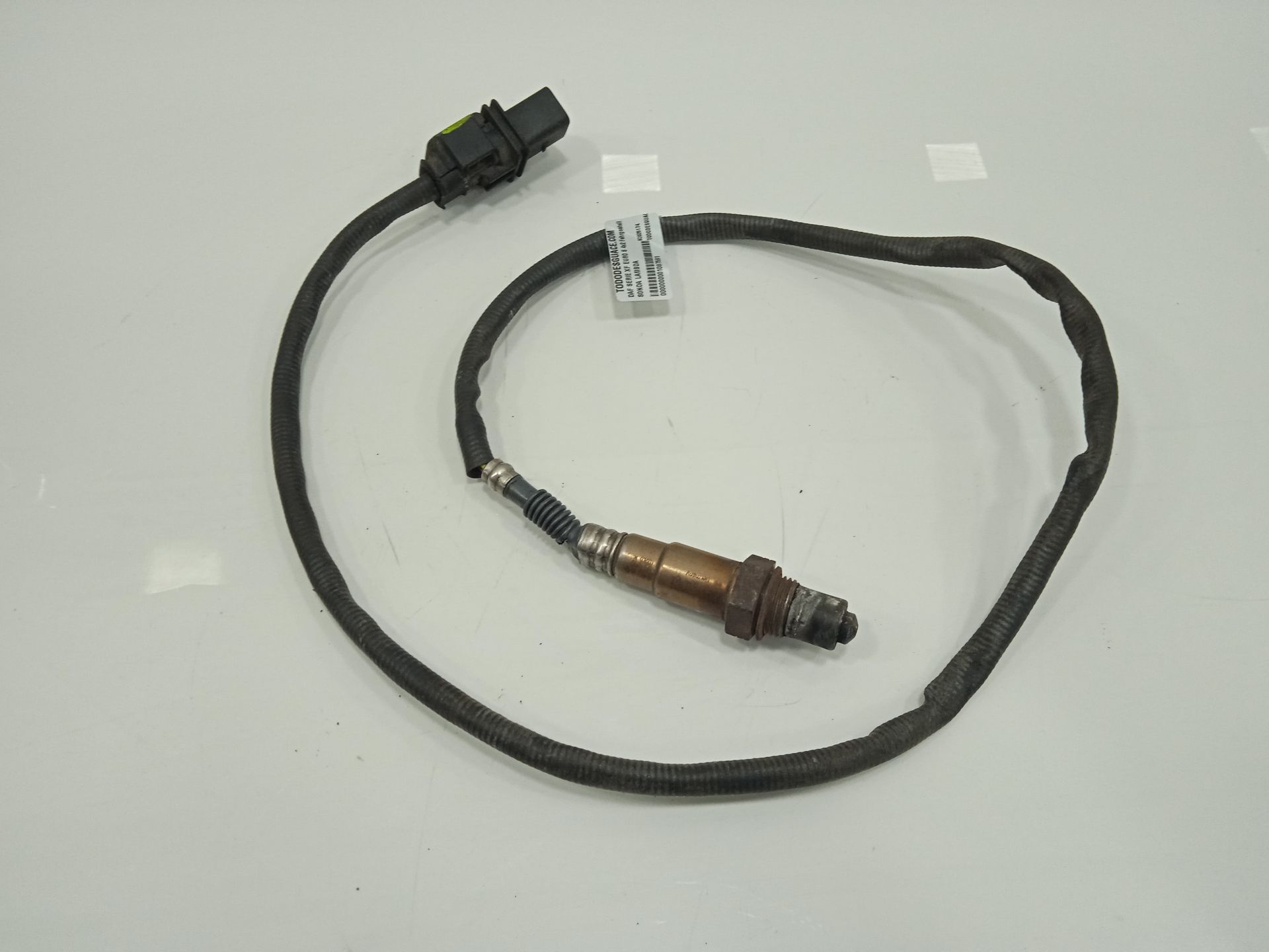 Sonda lambda daf serie xf euro 6 4x2 fahrgestell spacecab