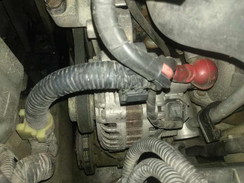 Alternador nissan primera berlina (p12) acenta