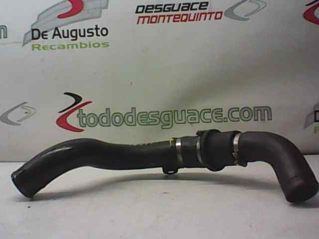  tubo intercooler   ford focus berlina (cak) 