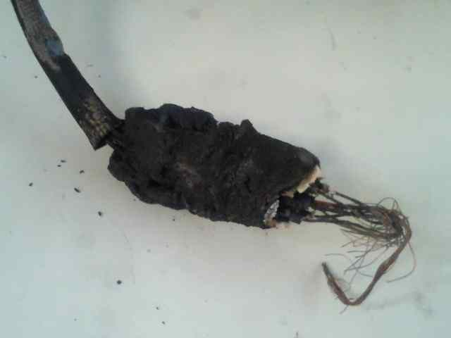 sonda lambda   volkswagen passat variant (3c5) sportline 2.0 tdi  sonda lambda   volkswagen passat variant (3c5) sportline 2.0 tdi