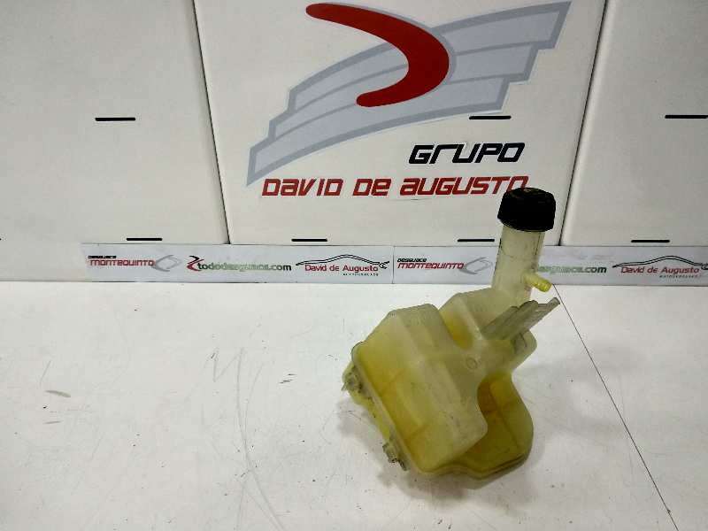  deposito expansion   renault laguna ii (bg0) authentique 1.9 dci diesel