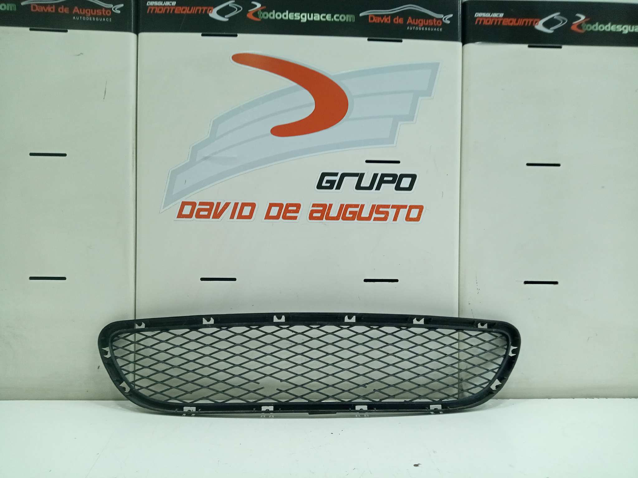  moldura   bmw serie 3 berlina (e90) 320d 2.0 turbodiesel cat